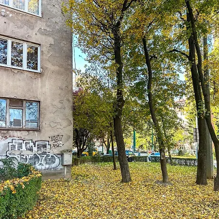 Cheyf In Grbavicka *