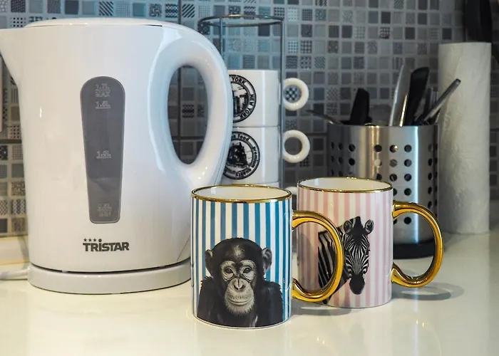 Apartment Cheyf In Grbavicka *