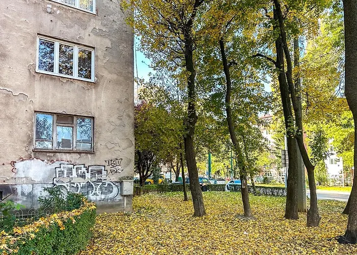 Cheyf In Grbavicka *